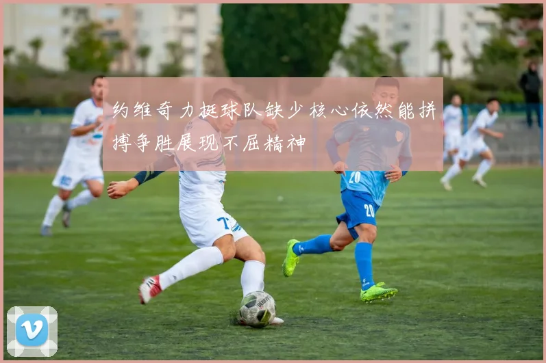 约维奇力挺球队缺少核心依然能拼搏争胜展现不屈精神