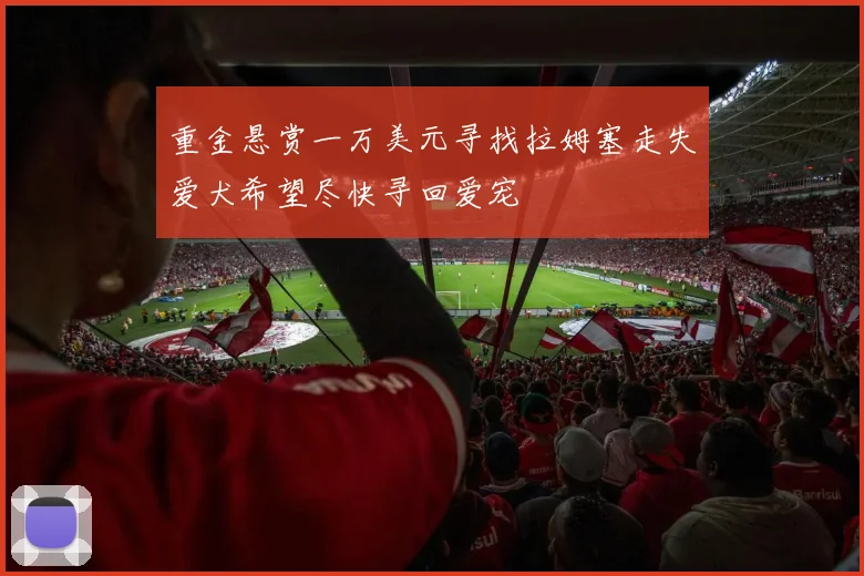 重金悬赏一万美元寻找拉姆塞走失爱犬希望尽快寻回爱宠