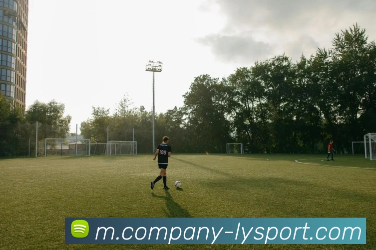 多媒体互动体验